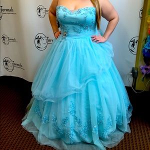 Posh Precious Sky Blue Embellished Tulle Ball Gown Size 22 with Hoop Skirt